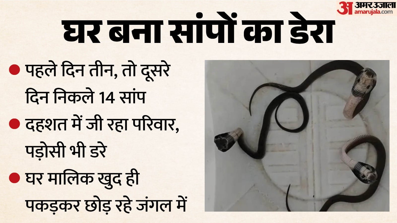 उज्जैन के बड़नगर में एक घर से निकल रहे सांप