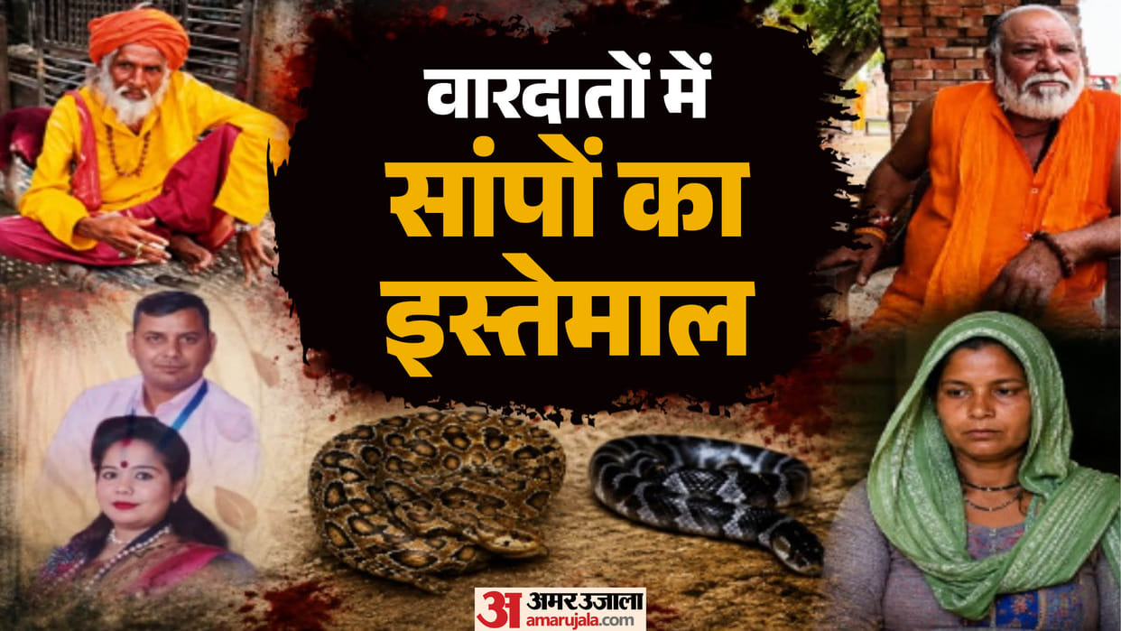 Meerut Murder by Snake Cases: If Snake Charmers No Longer Keep Snakes, Who Is Supplying Them?