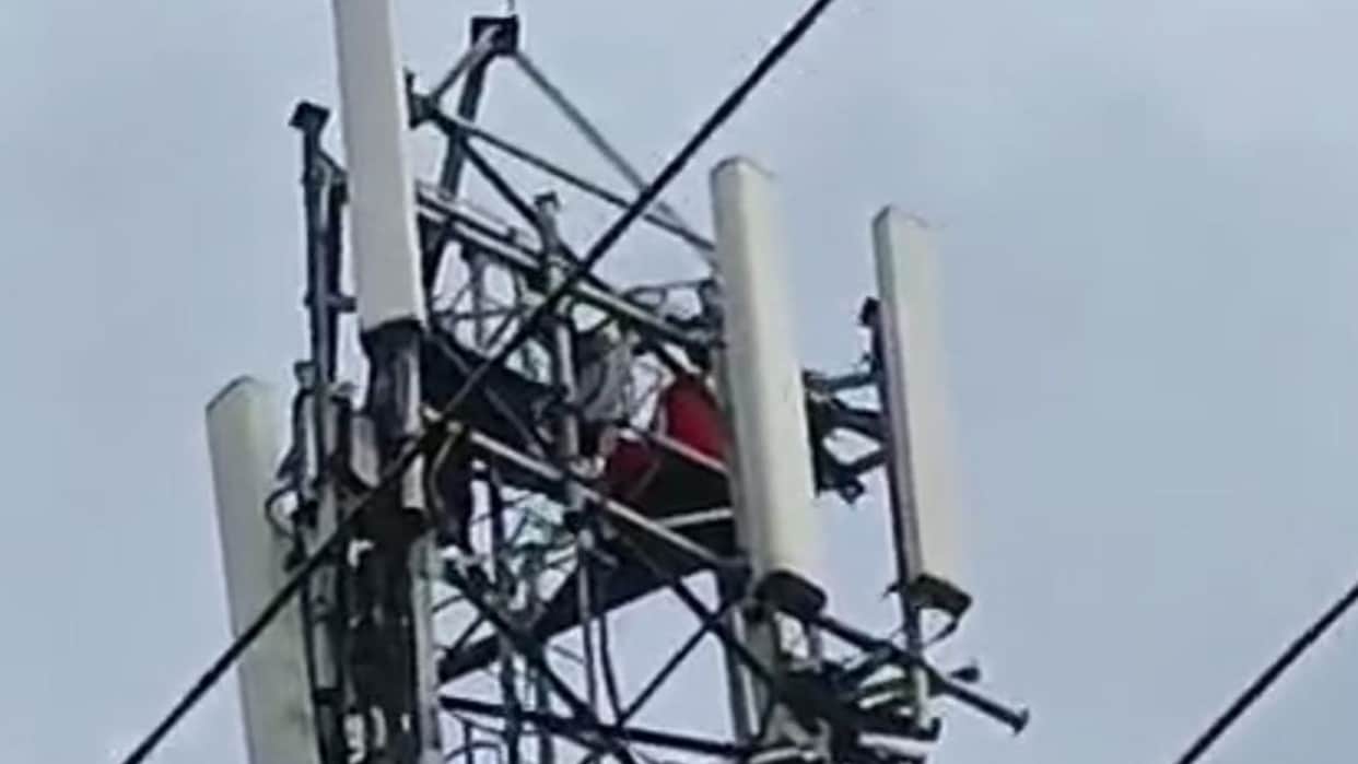 Pregnant woman climbs tower Claims boyfriend refuses to marry herfour-hour high-profile drama