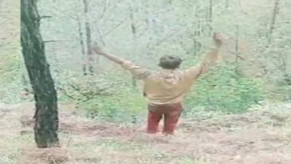 Cow beaten to death with a stick in pithoragarh