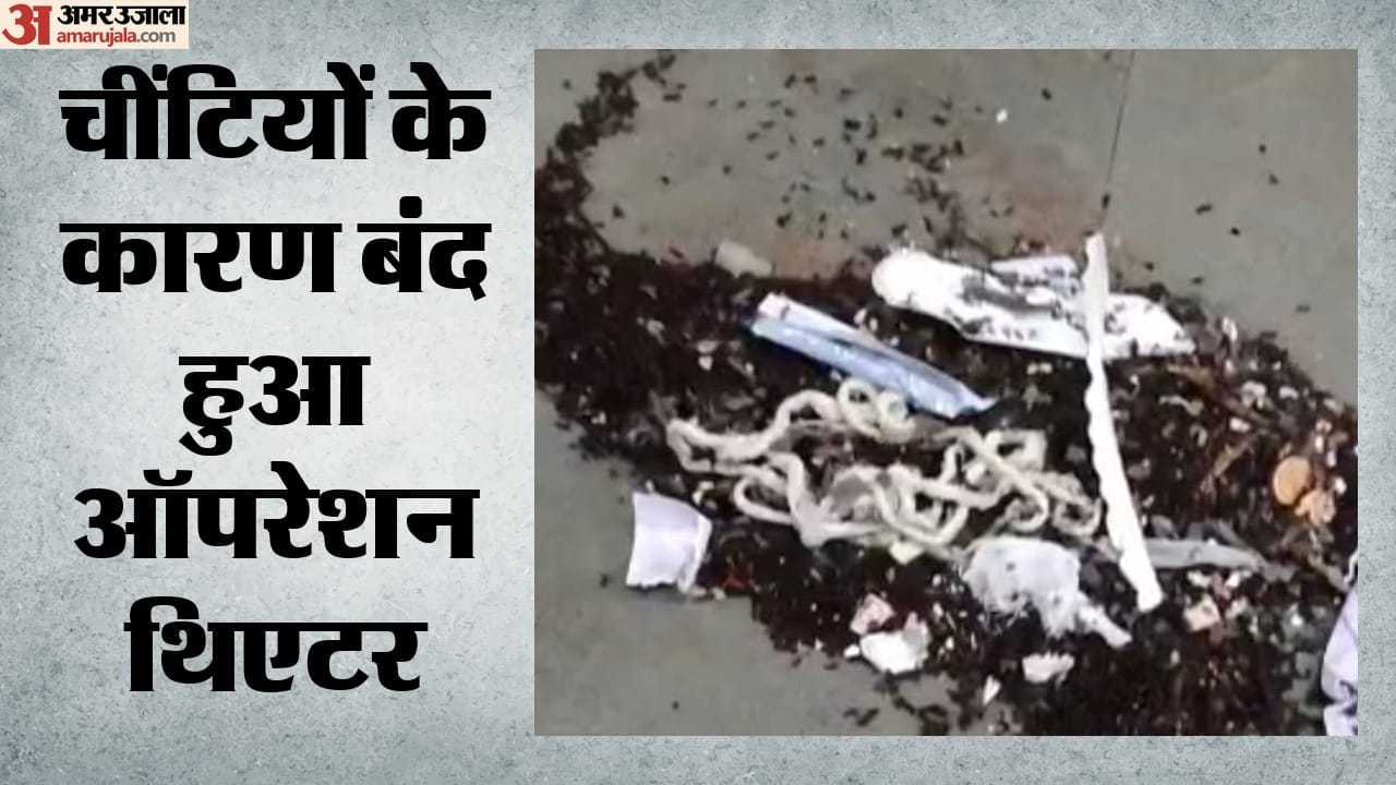 चींटियों के कारण बंद हुआ एमसीएच ऑपरेशन थिएटर