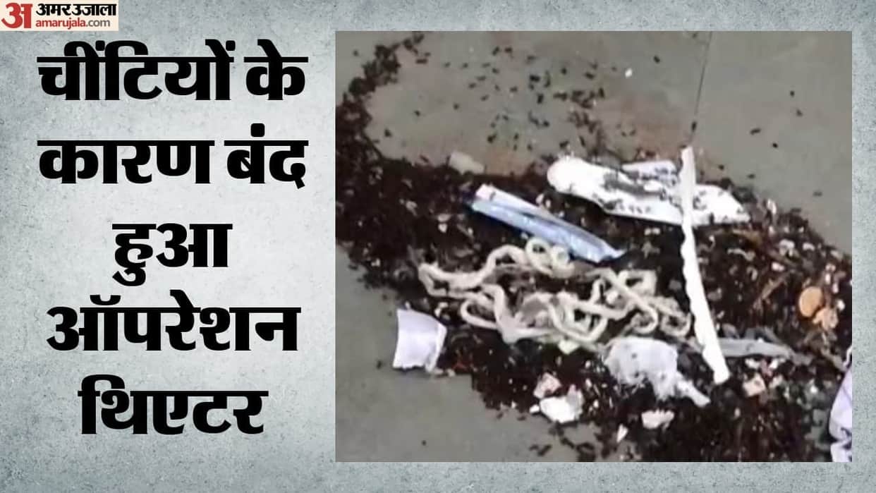 durg hospital major negligence ants found in operation theatre patients suffer surgery halted for three days