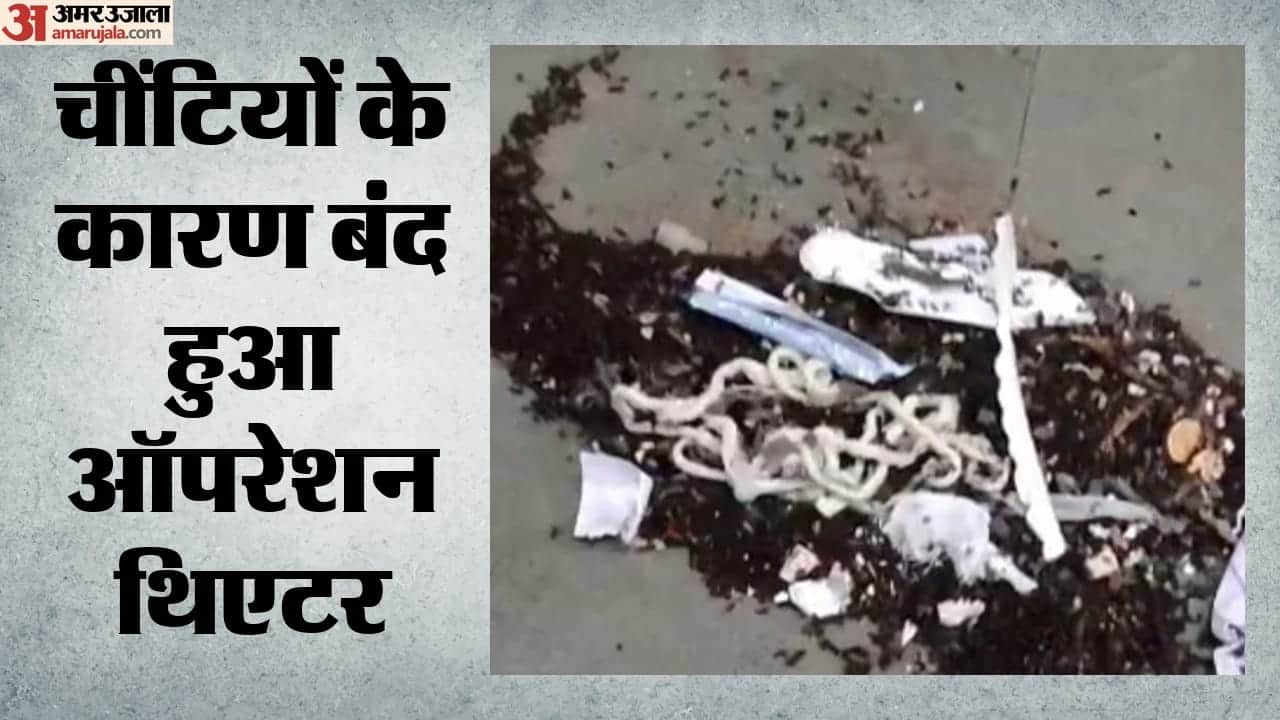 चींटियों के कारण बंद हुआ एमसीएच ऑपरेशन थिएटर