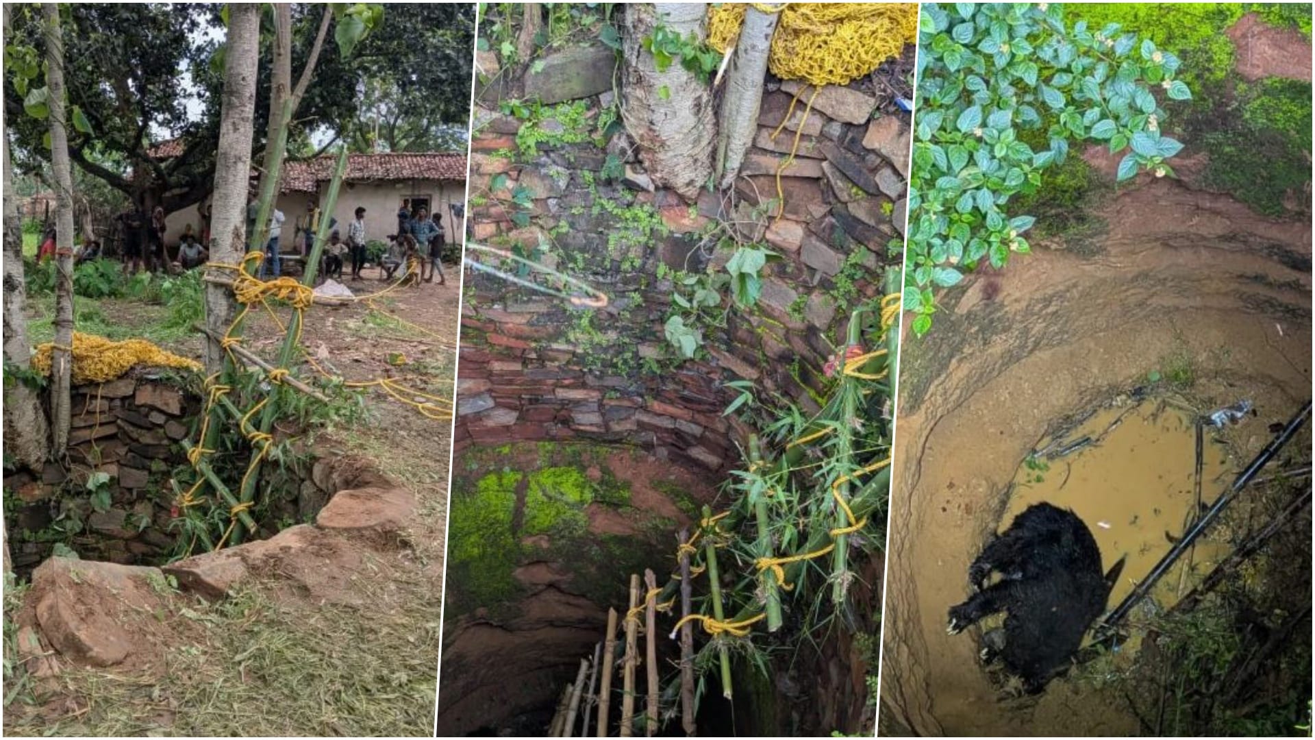 25 फीट गहरे कुंए में गिरा भालू
