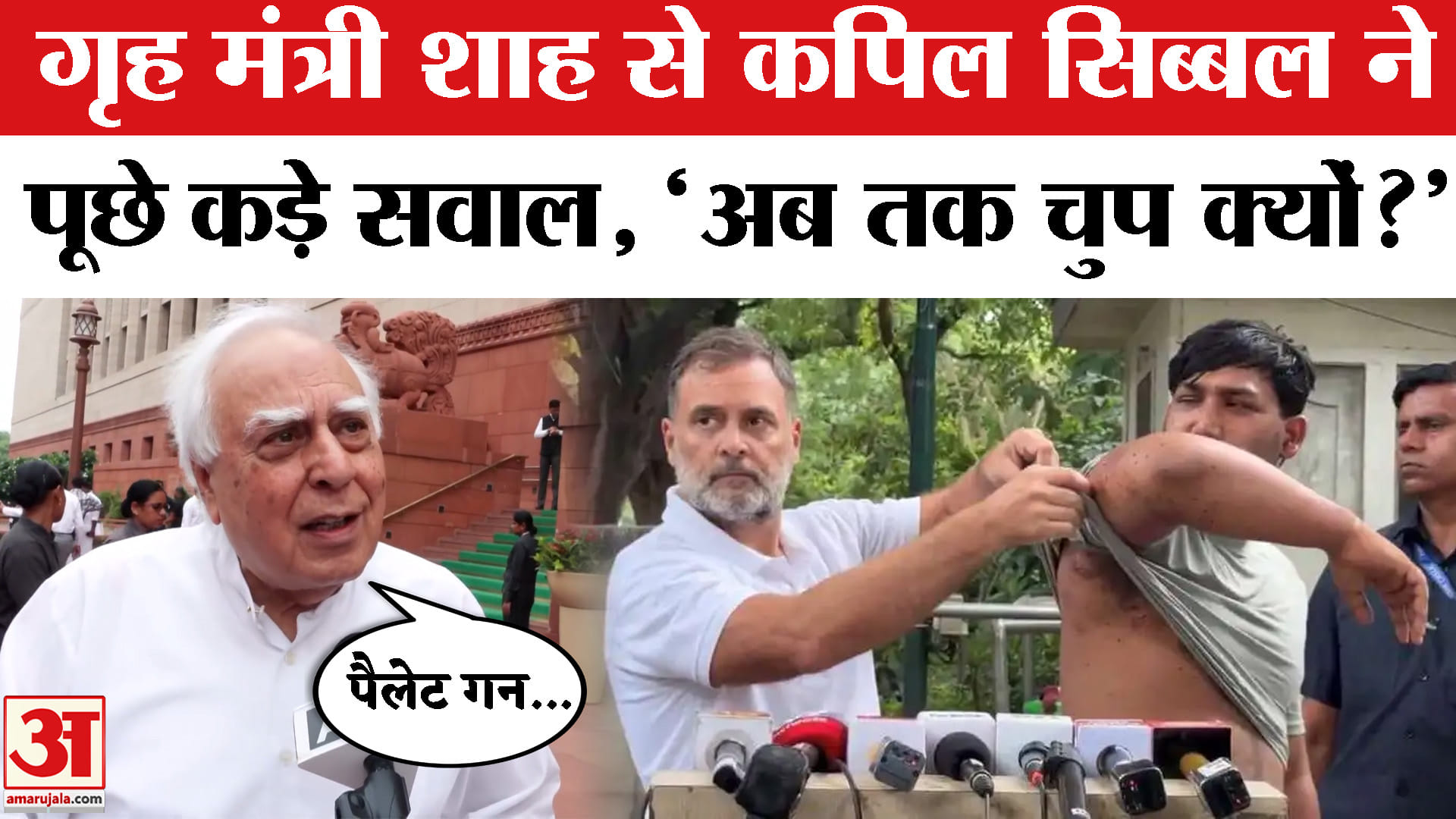 CJP