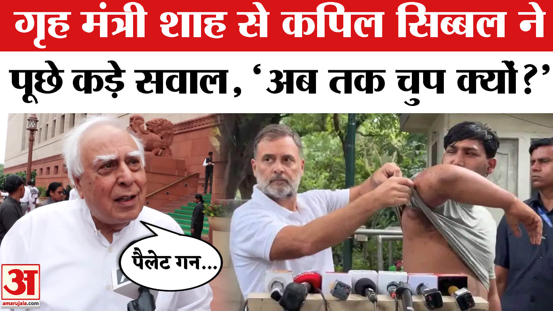 CJP