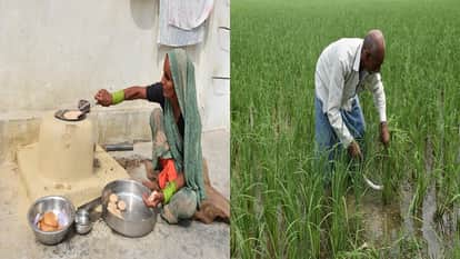 story of Gulveer Singh village Sirsa
