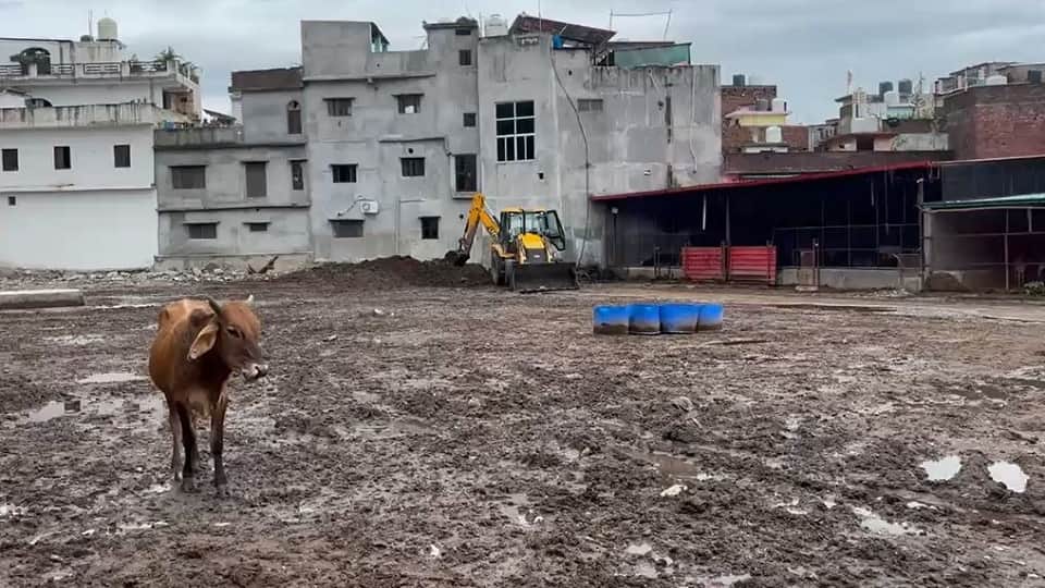 MLA Sumit Hridayesh gets angry over the filth in the cowshed in haldwani
