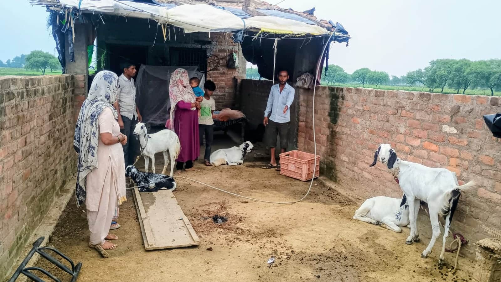 तिंदवारी में हाईटेंशन तार टूटने से दहशत