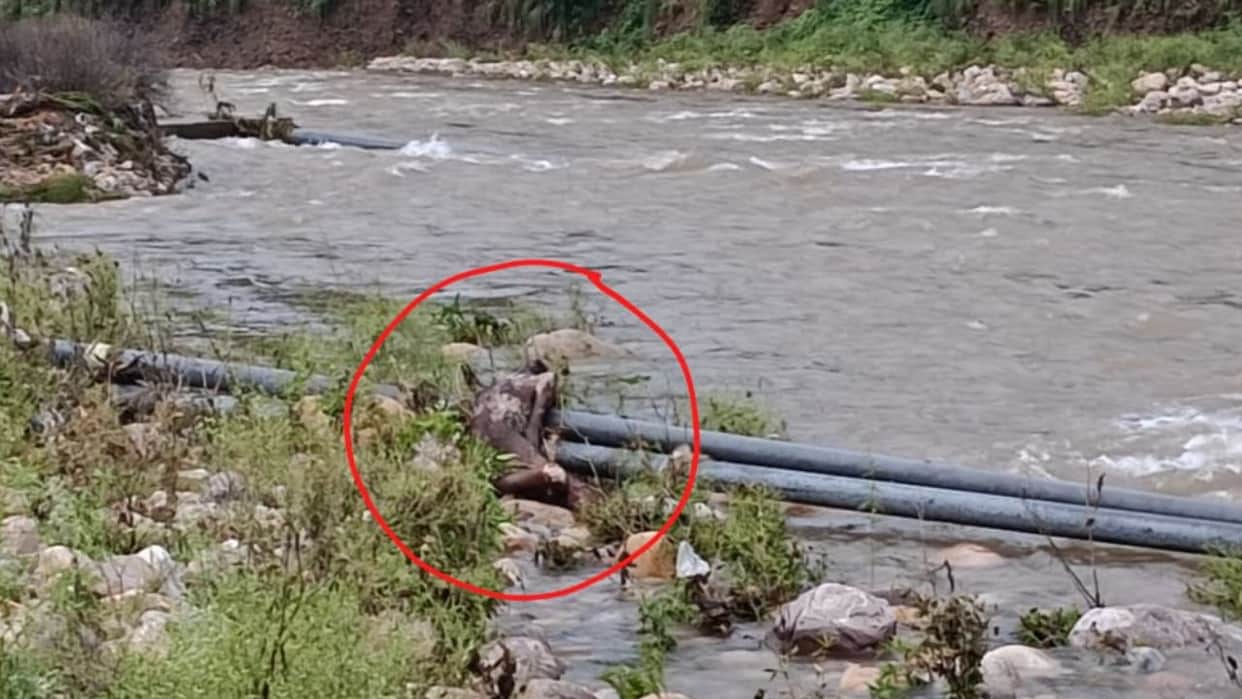 kangra karnghat haroti khad unknown dead body found lambagaon police investigation