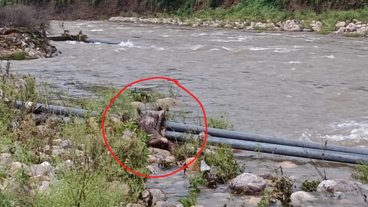 kangra karnghat haroti khad unknown dead body found lambagaon police investigation