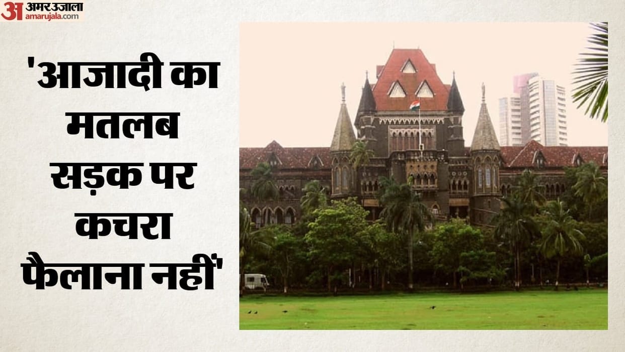 Dustbins abroad but roads in India Bombay High Court reprimands litterbugs If you want rights fulfill duties