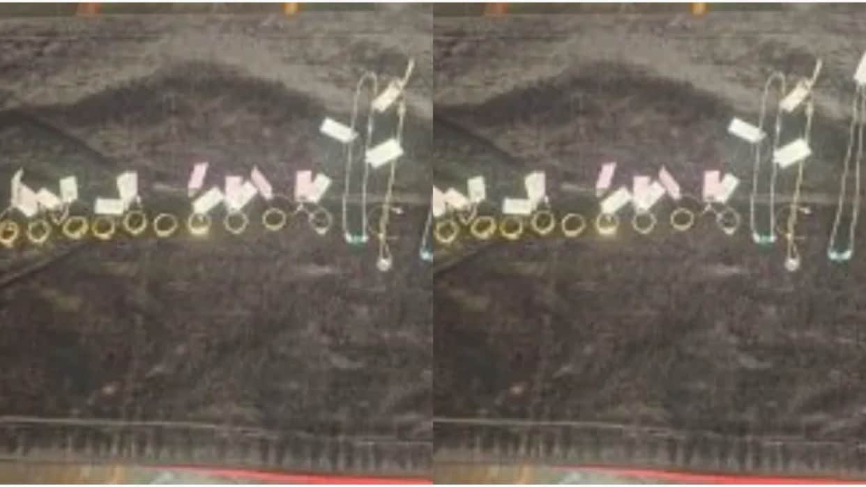 Rats Steal10 Lakh Rupees Worth of Gold and Diamond Jewellery From Karnataka Store CCTV Reveals Shocking Truth