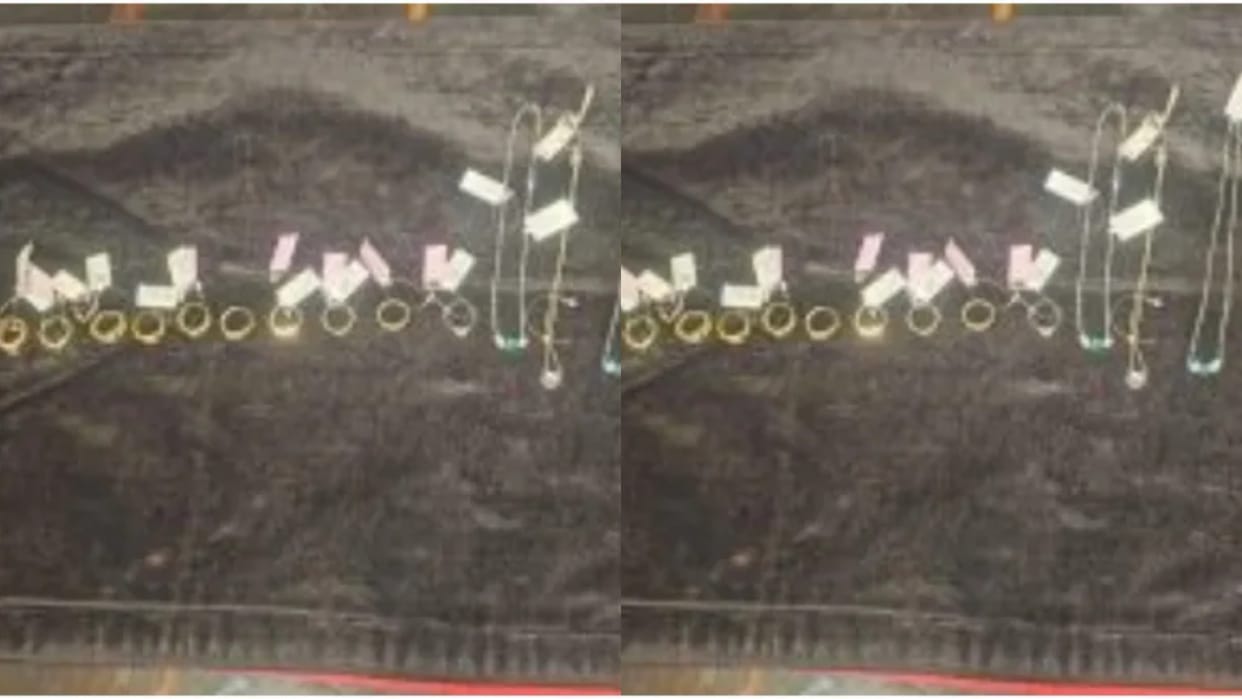 Rats Steal10 Lakh Rupees Worth of Gold and Diamond Jewellery From Karnataka Store CCTV Reveals Shocking Truth