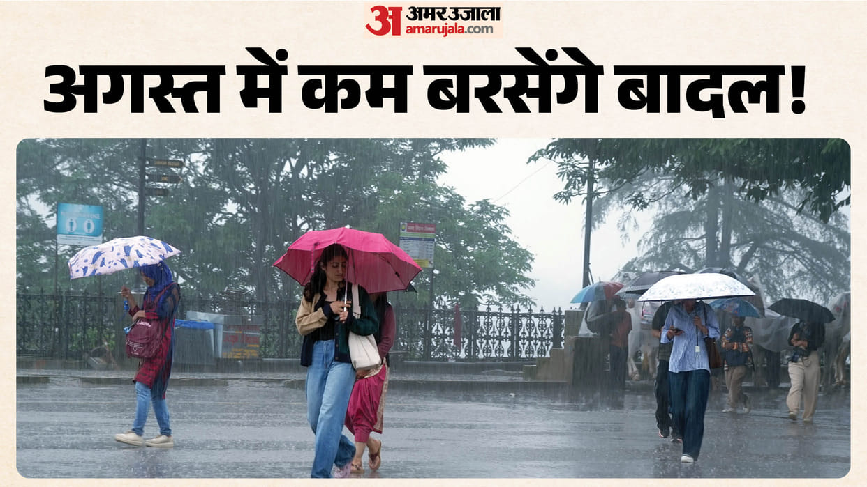 Will monsoon remain weak  August? IMD issues forecast rainfall decrease country El Niño impact also expected.