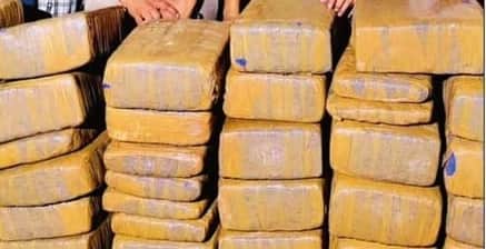 Kanpur 118 kg of narcotics being seized daily a 100 week battle to begin on August 2