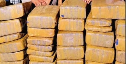Kanpur 118 kg of narcotics being seized daily a 100 week battle to begin on August 2