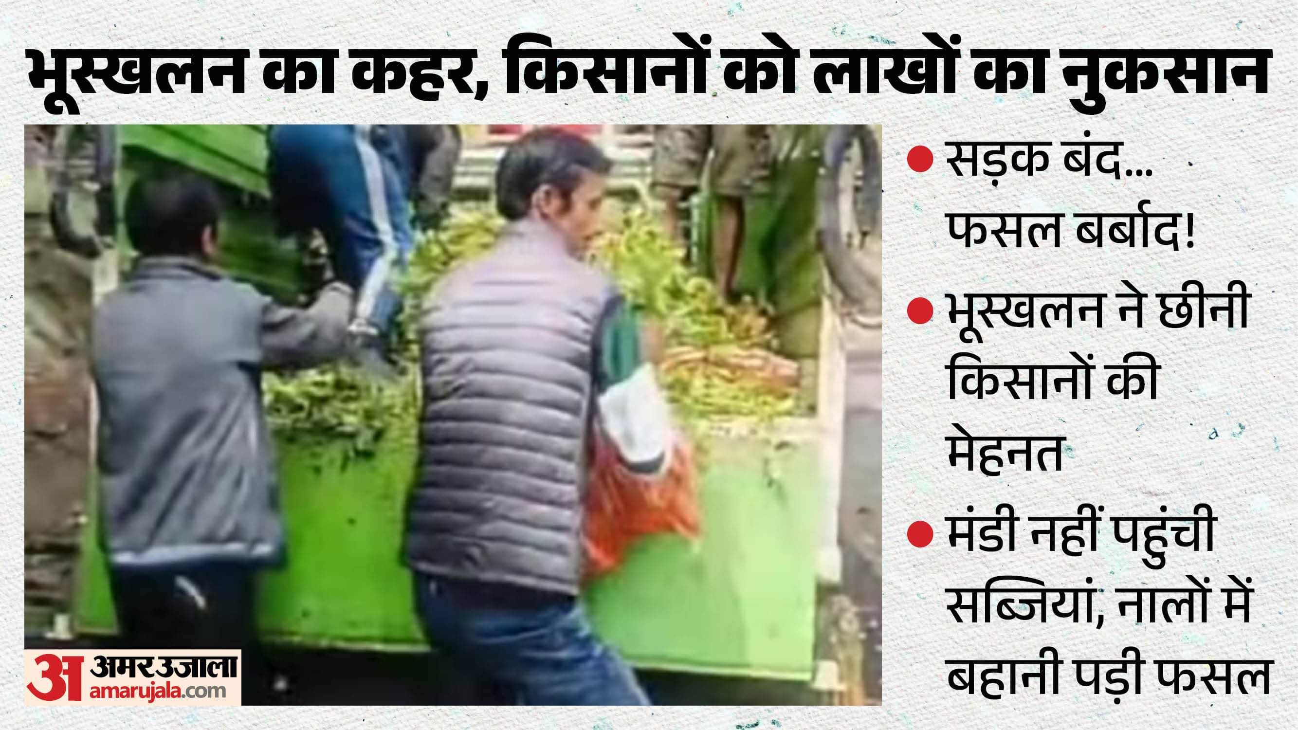 किसानों को फेंकनी पड़ी फसल।