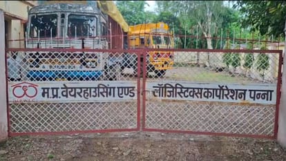 Panna News Plants began to grow in government paddy sacks lying in open