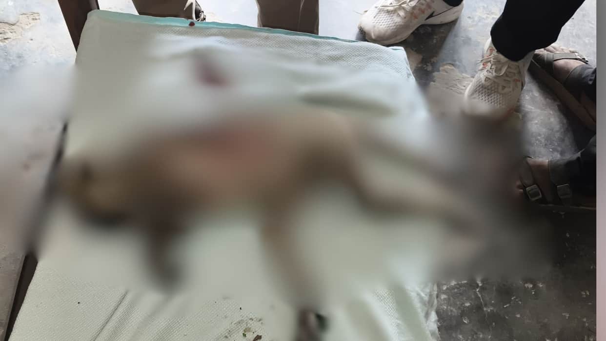 Monkey shot dead villagers outraged in Mau