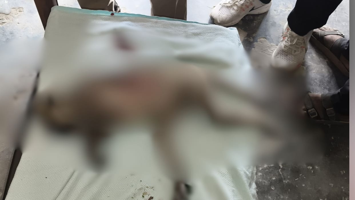 Monkey shot dead villagers outraged in Mau