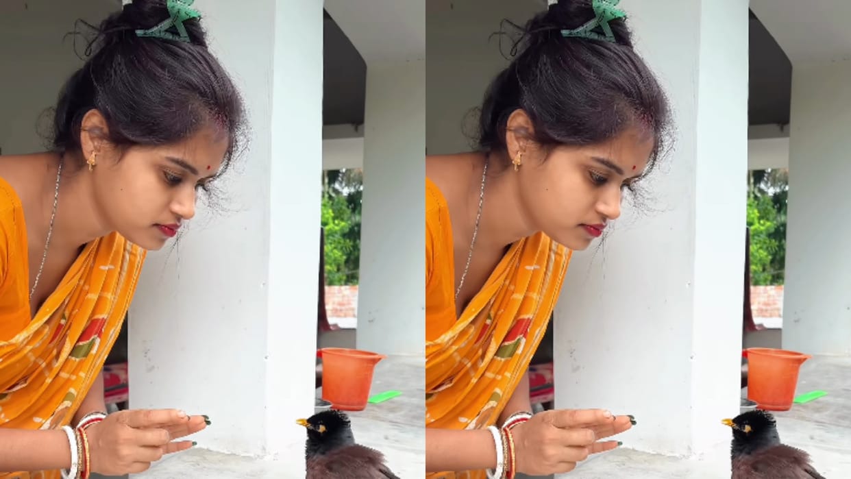 Woman Heartwarming Conversation With Birds Goes Viral on Facebook