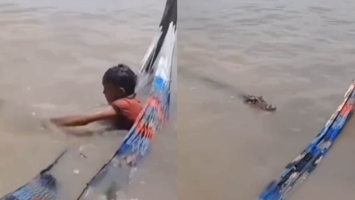 crocodile and boy fight video viral on internet Everyone is praising the child's courage
