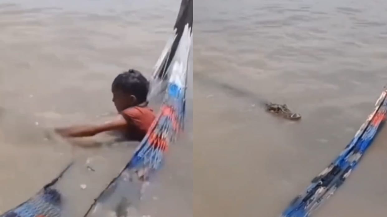 crocodile and boy fight video viral on internet Everyone is praising the child's courage