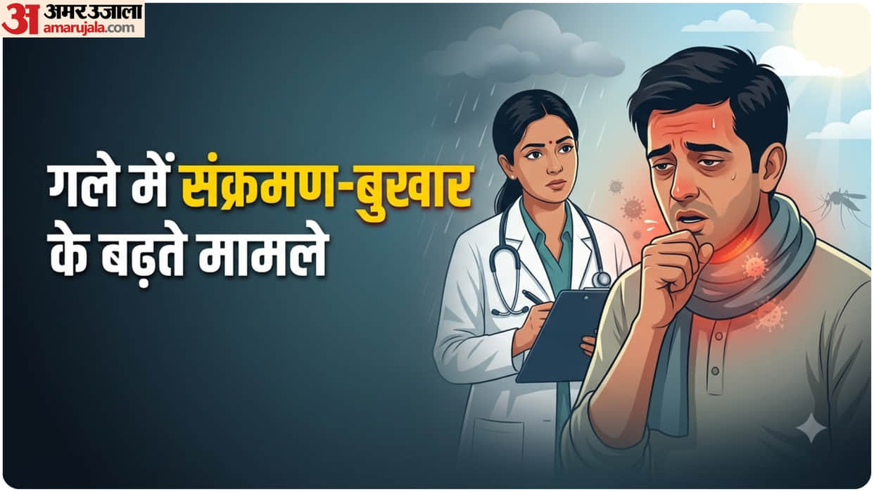 mosquito borne diseases dengue malaria risk in delhi ncr latest update and precautions