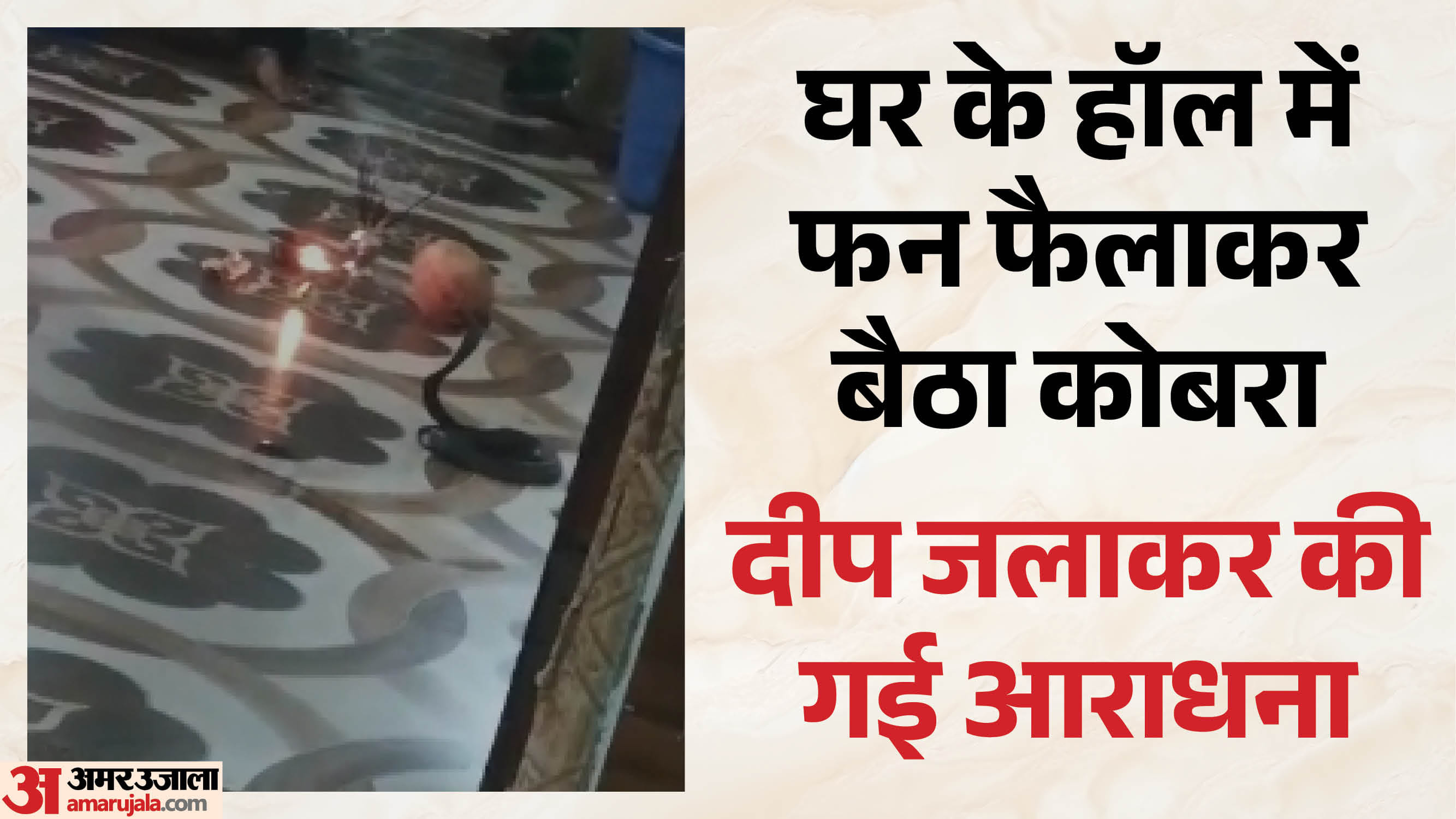 घर के हॉल में करीब दो फीट लंबा कोबरा सांप अचानक पहुंच गया।