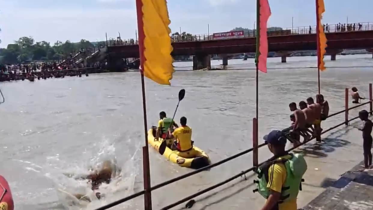Kanwariya trapped in the swift current of the Ganges SDRF rescues him Haridwar News