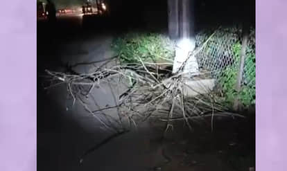 Kanpur: Youth dies after suffering electric shock from high-mast pole