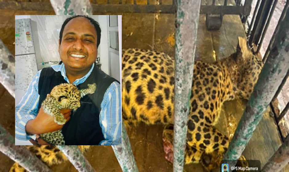 Kanpur Zoo: Jerry lost her four-month battle for survival as the wound on her tail failed to heal