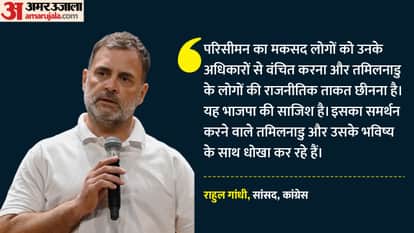 राहुल गांधी, सांसद, कांग्रेस