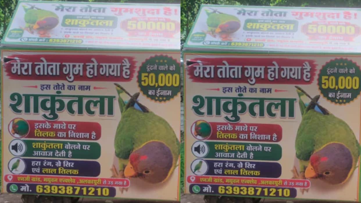 Gwalior Family Launches Unique Search for Missing Pet Parrot Announces 50 Thousand Reward