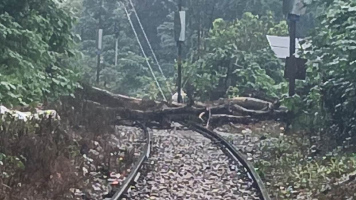 Tree and boulders fall onto the track at Bhimgoda railway tunnel; train movement affected Haridwar News