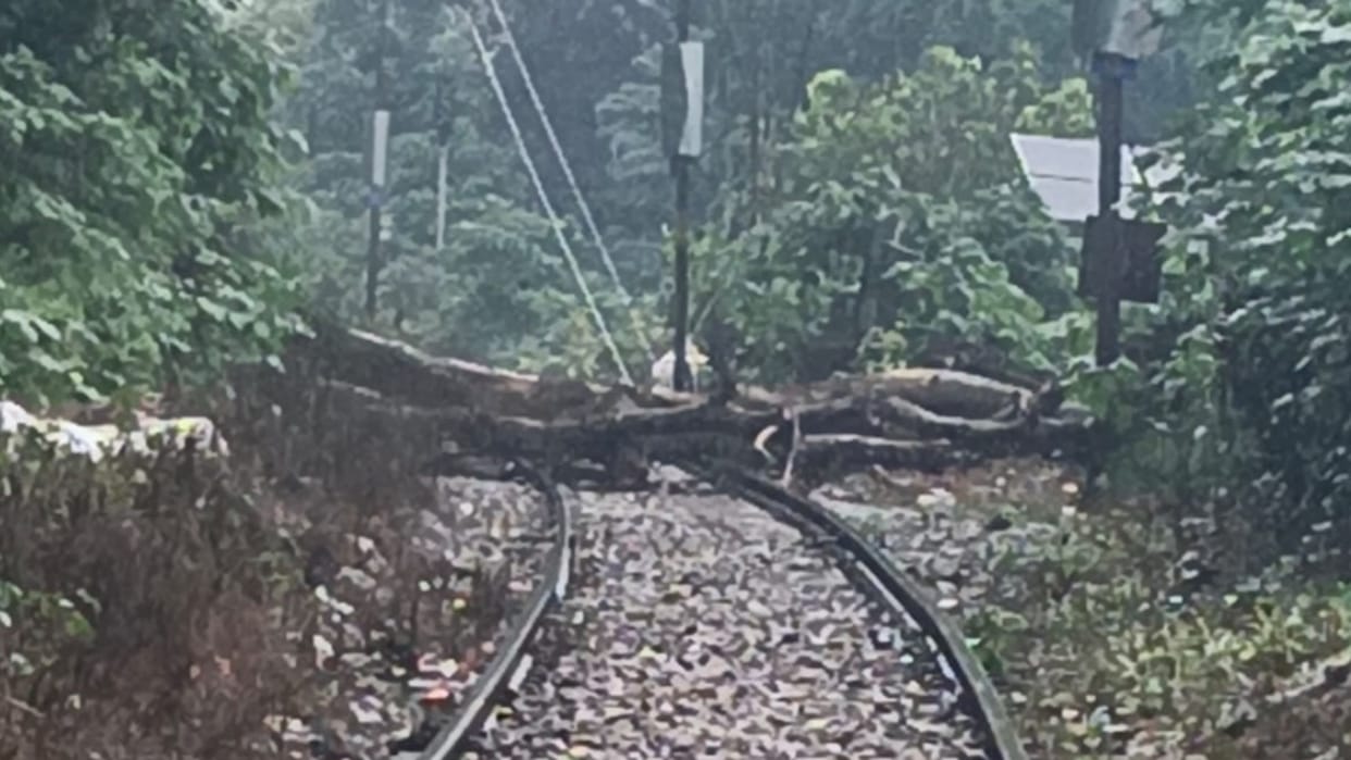 Tree and boulders fall onto the track at Bhimgoda railway tunnel; train movement affected Haridwar News