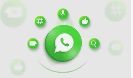 Stop WhatsApp Photos, Videos Saving Phone Gallery Automatically, Change These Settings