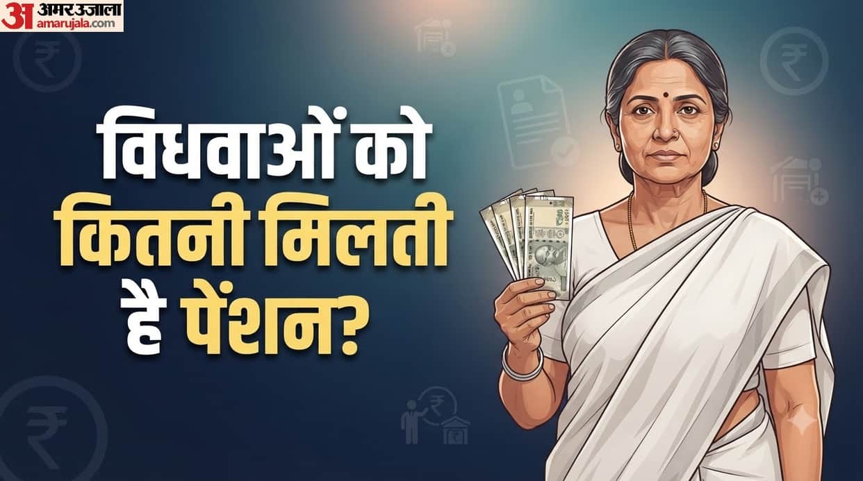 Indira Gandhi National Widow Pension Scheme registration process and pension rupees check details