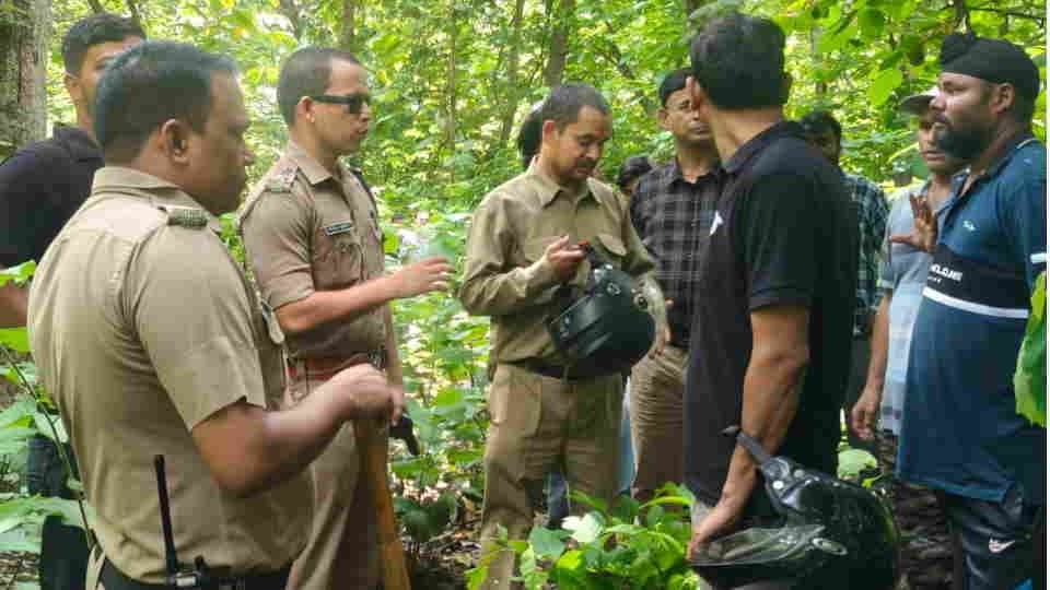 Haldwani News tiger dragging away a young man from Bike Rumor Spread