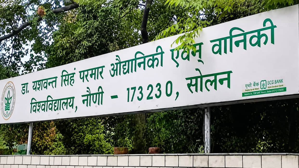 nauni university fee cut 2026 27 ug pg fees reduced