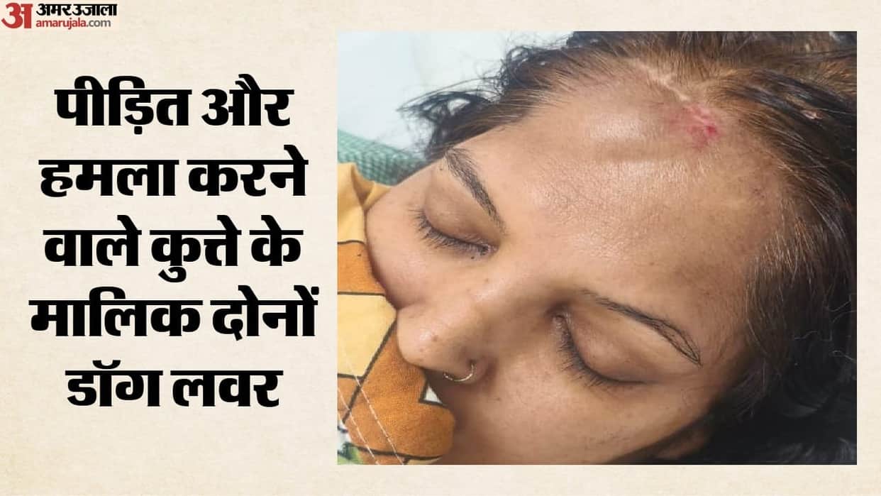 Pitbull attacks woman in greater noida admitted to ICU.