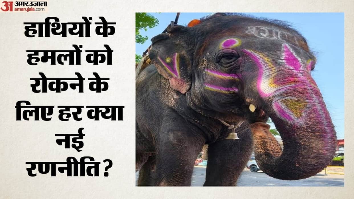 Wildlife Conflict Can India's New Plan Prevent Human-Elephant Clashes and Protect Both Villages and Elephants