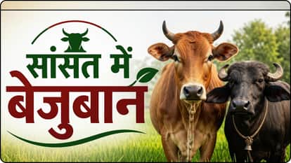 सरकारी अस्पतालों में नहीं मिल रहीं दवाएं।