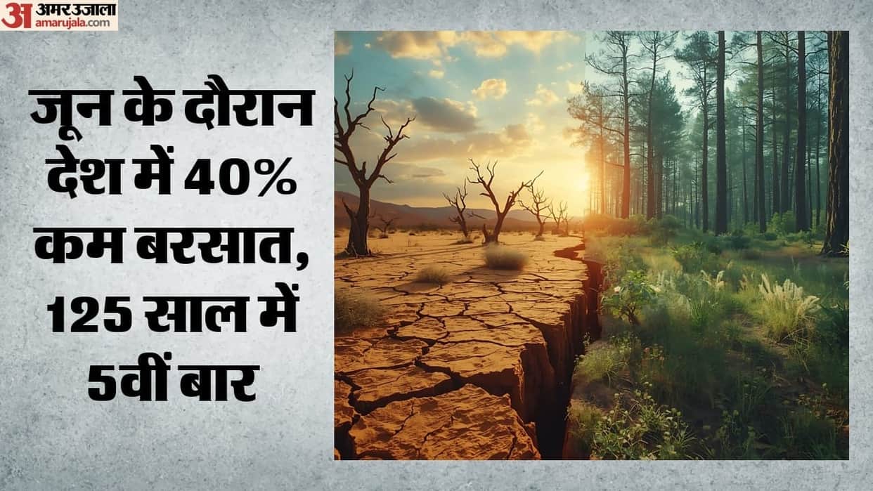 Impact of El Niño: Haryana, Punjab, and UP have received up to 38% less rainfall