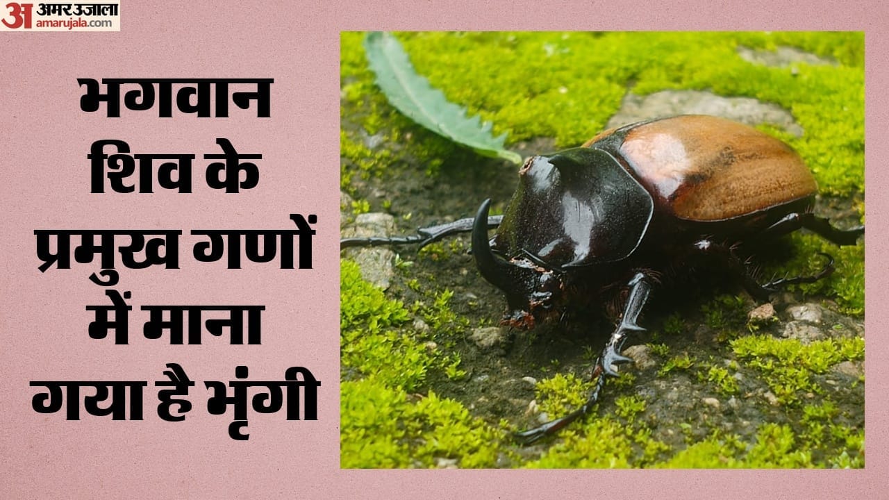 क्षेत्र की समृद्ध जैव विविधता की झलक एक बार फिर सामने आई।