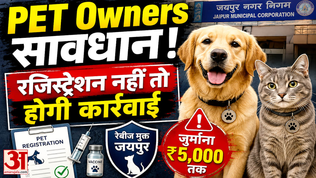 अब पालतू जानवरों का रजिस्ट्रेशन अनिवार्य, 30 सितंबर के बाद ₹5,000 तक जुर्माना