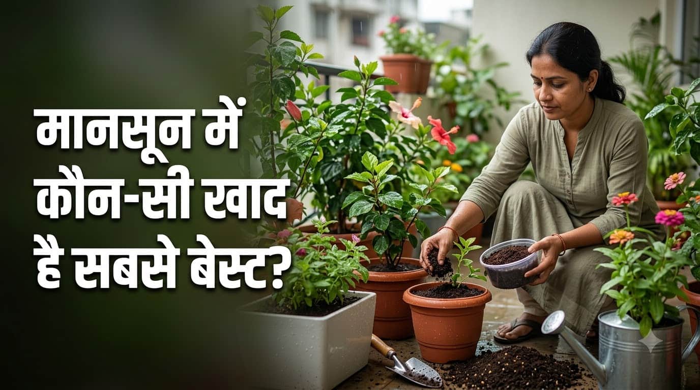 मानसून फर्टिलाइजर