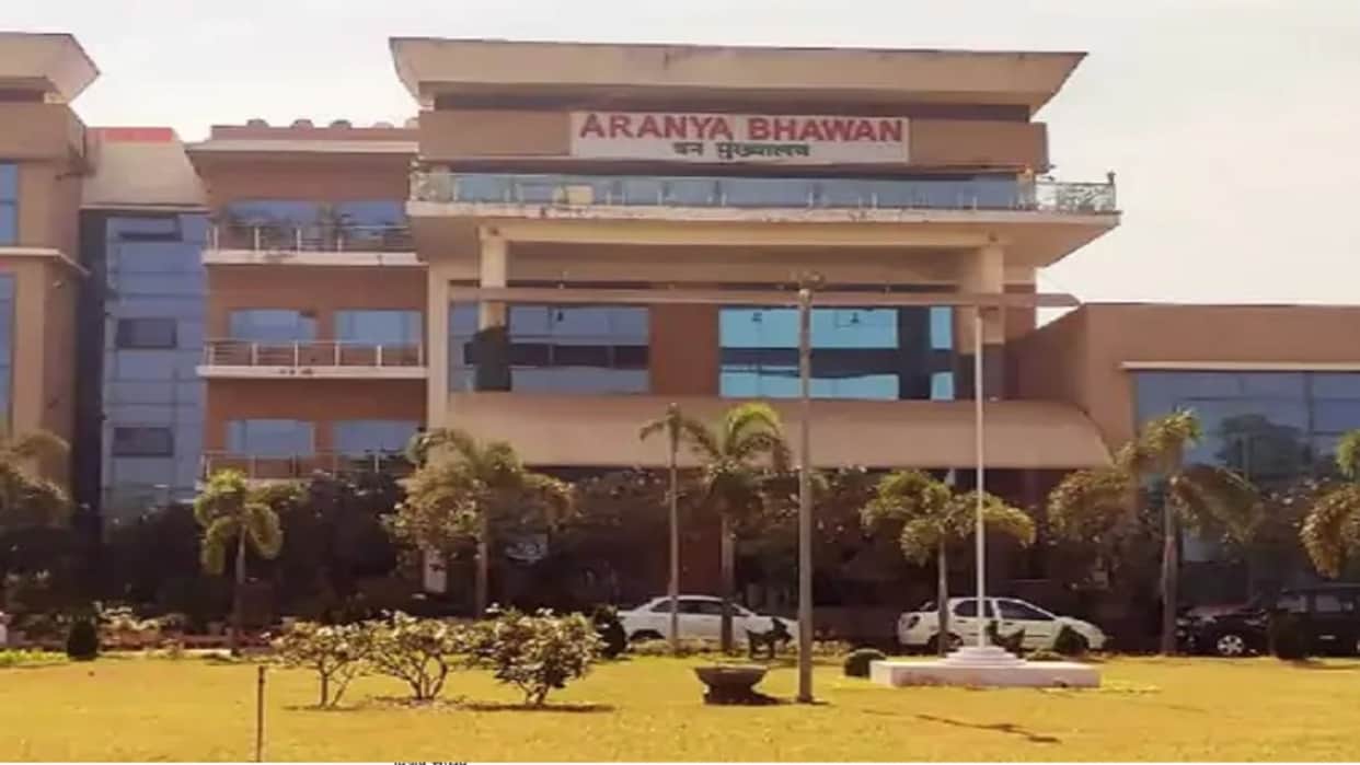 Chhattisgarh: Trainee IFS officers first postings, see here list