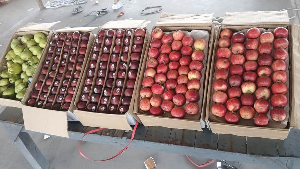 Low arrivals of apple at Pinjore Mandi Prices rise Gala reaches ₹2,200 per box